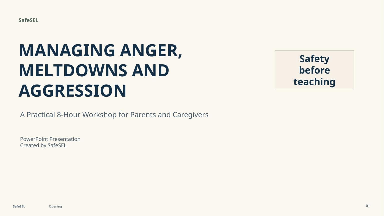 Real slide from the anger, meltdowns and aggression presentation