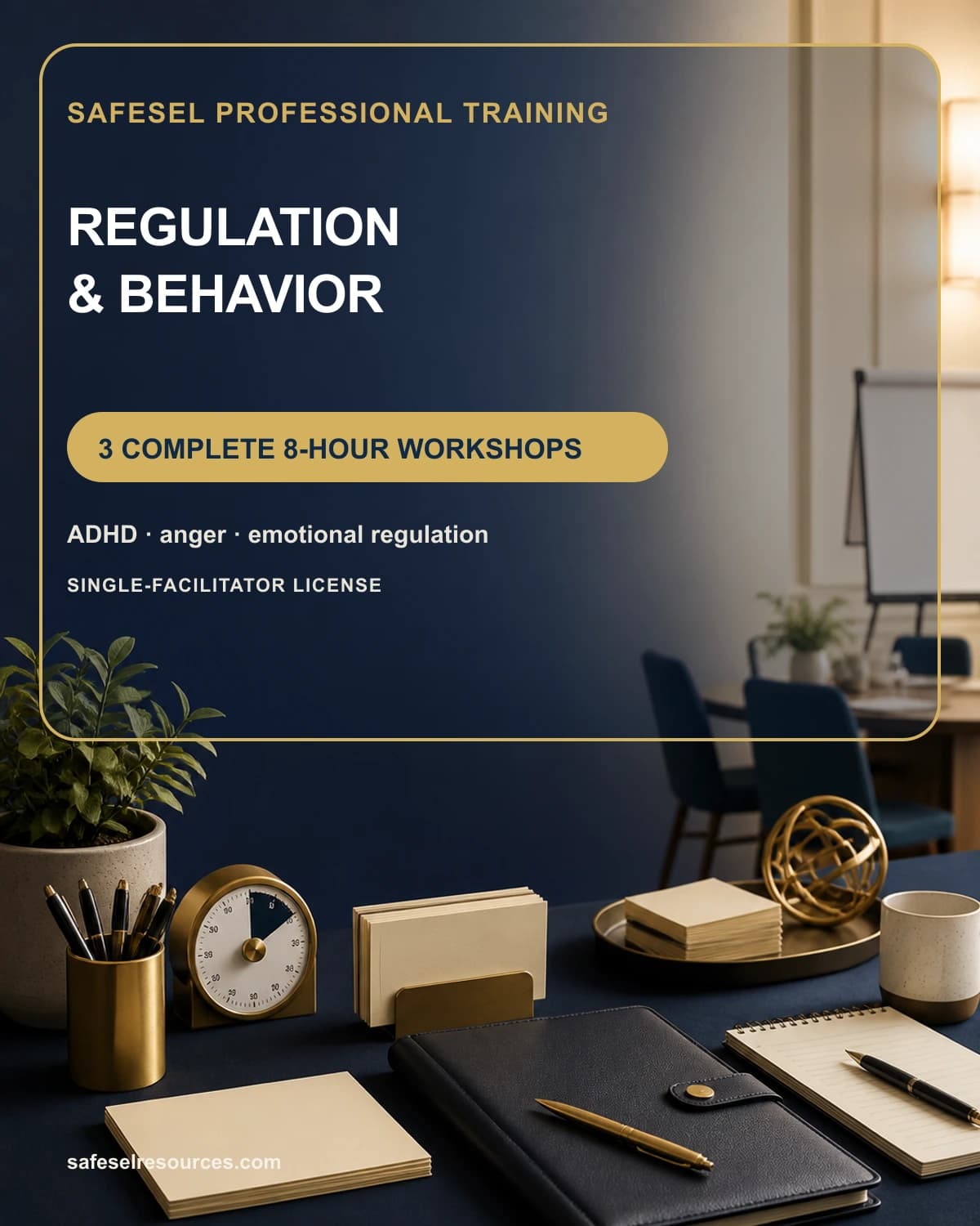 How to Plan a Professional Workshop on Child Regulation and Behavior