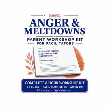 Managing Anger, Meltdowns and Aggression Etsy listing preview 1